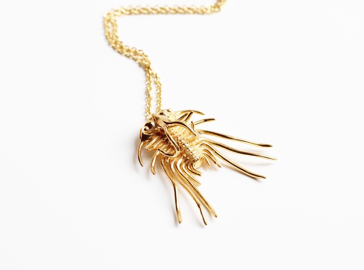 Dicranurus Trilobite Pendant - Paleontology 3d printed Dicranurus Trilobite in 14K gold plated brass