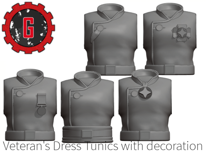 Veteran Dress Torso 3d printed