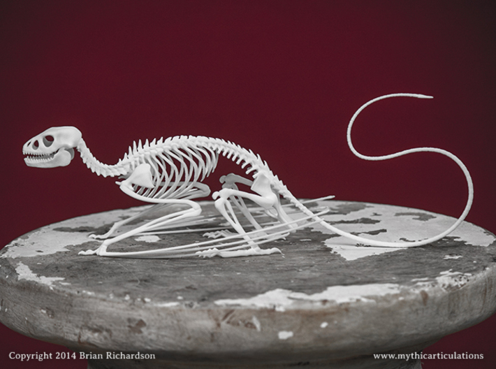 Wyvern Skeleton 3d printed 