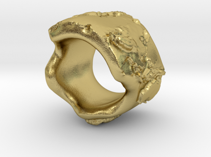 irregular earth ring with relief 3d printed