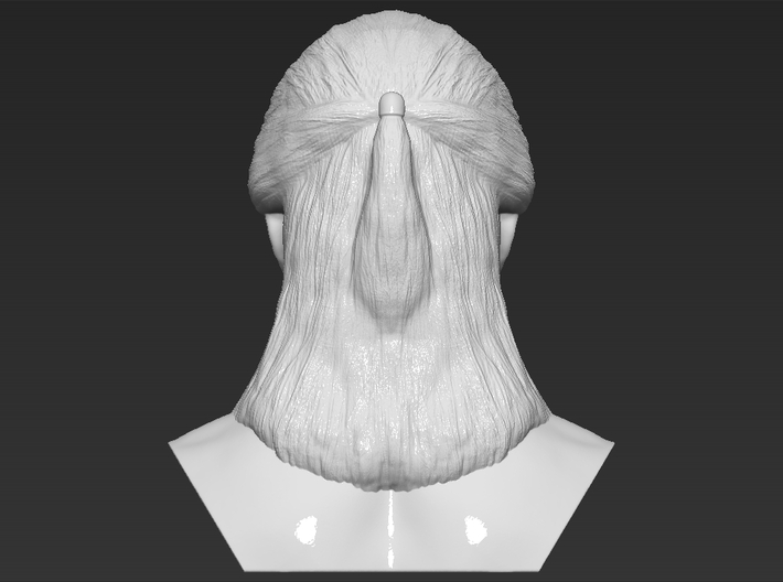 Geralt of Rivia The Witcher Cavill bust 3d printed 