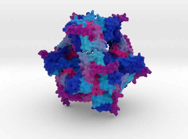 Trimeric Intracellular Cation (TRIC) Channel 3d printed