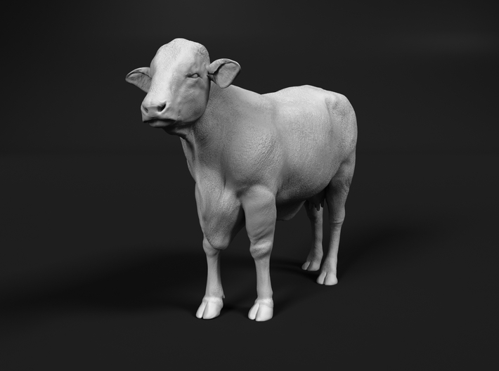 Brangus 1:35 Standing Cow 3d printed