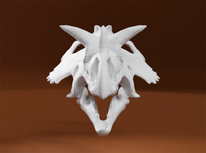 Utahceratops Skull- 1/18th scale replica 3d printed 