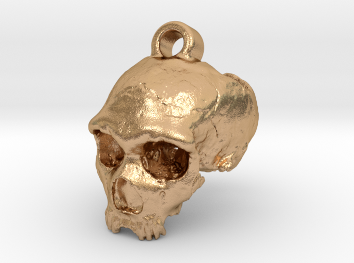 Neanderthal skull 3d printed