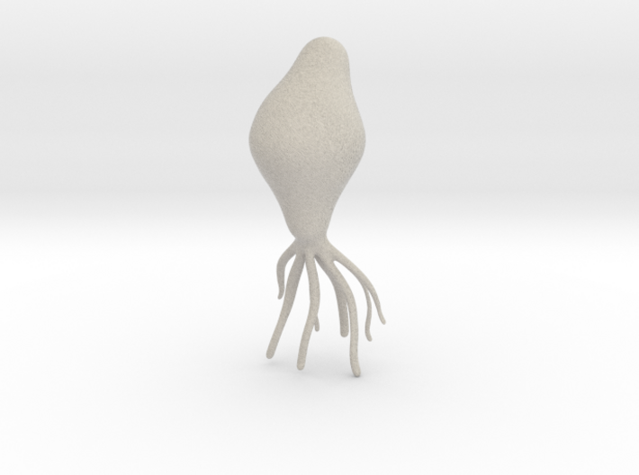 Squid 3d printed