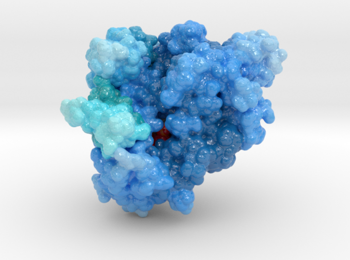 RNA Polymerase inhibited by Remdesivir-OLD 3d printed