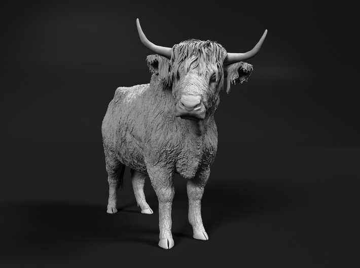 Highland Cattle 1:87 Standing Female 3d printed