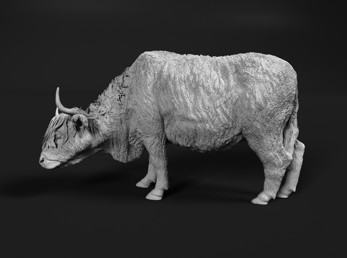 Highland Cattle 1:64 Female with the head down 3d printed 