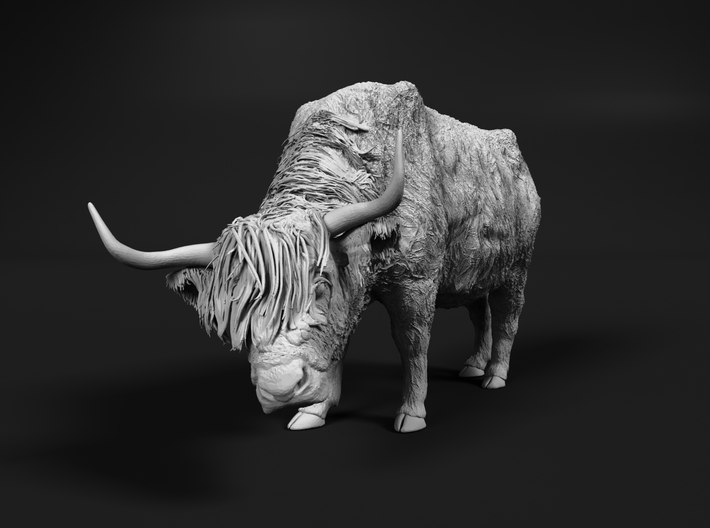 Highland Cattle 1:6 Female with the head down 3d printed