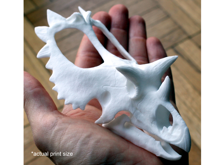 Utahceratops Skull- 1/18th scale replica 3d printed 