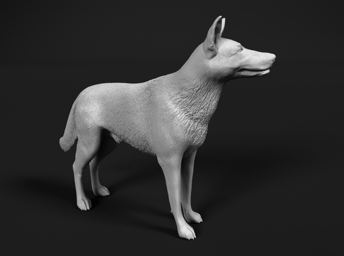 Saarloos Wolfdog 1:64 Standing Male 3d printed