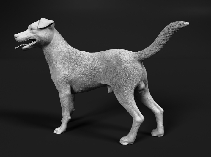 Jack Russell Terrier 1:12 Standing Male 3d printed