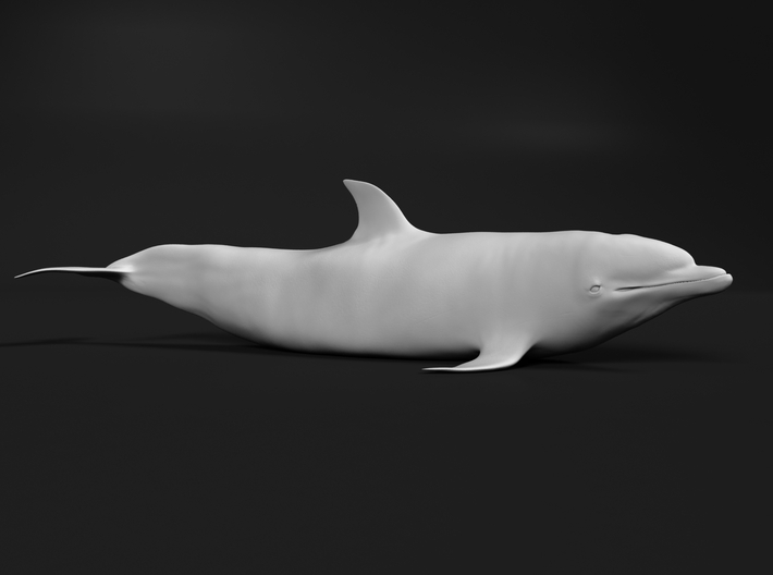 Bottlenose Dolphin 1:20 Out of the water 2 3d printed 