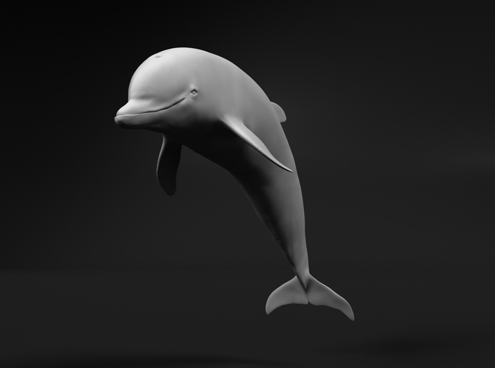 Bottlenose Dolphin 1:160 Breaching 3 3d printed 