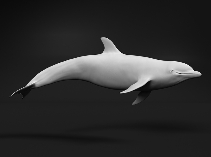 Bottlenose Dolphin 1:6 Swimming 1 3d printed 