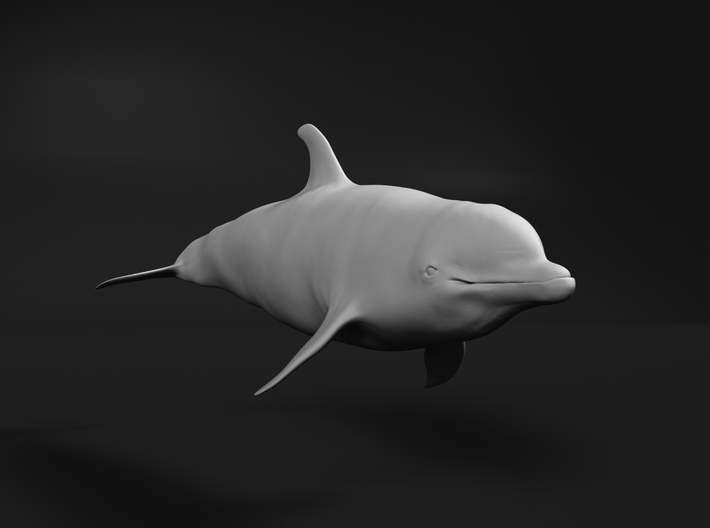 Bottlenose Dolphin 1:16 Swimming 2 3d printed