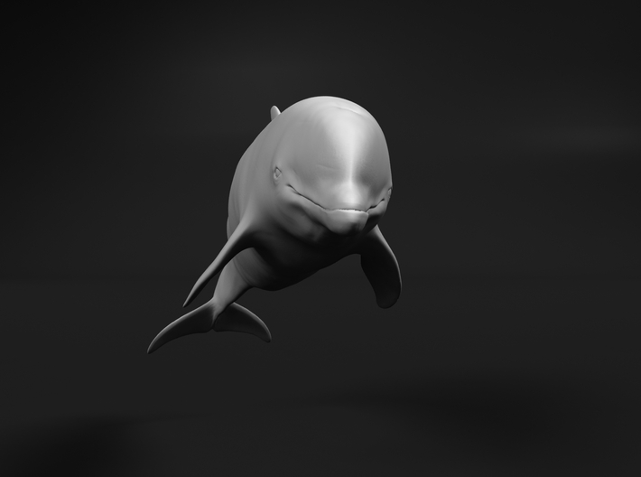 Bottlenose Dolphin 1:22 Swimming 3 3d printed