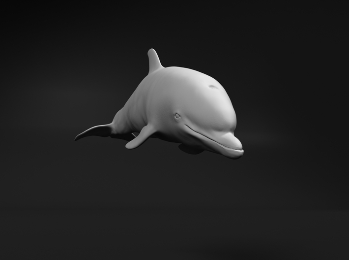 Bottlenose Dolphin 1:96 Calf 1 3d printed 