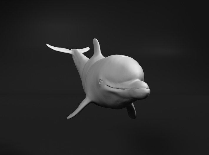 Bottlenose Dolphin 1:120 Calf 2 3d printed 