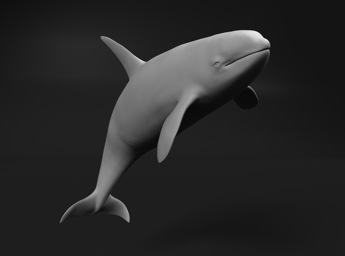 Killer Whale 1:25 Breaching Male 3d printed 