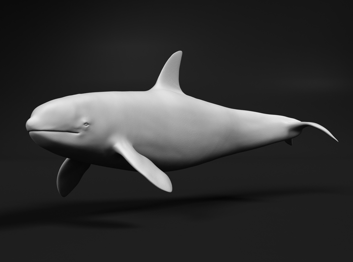 Killer Whale 1:220 Swimming Female 3 3d printed