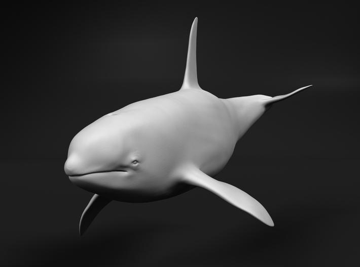 Killer Whale 1:16 Swimming Male 3d printed 