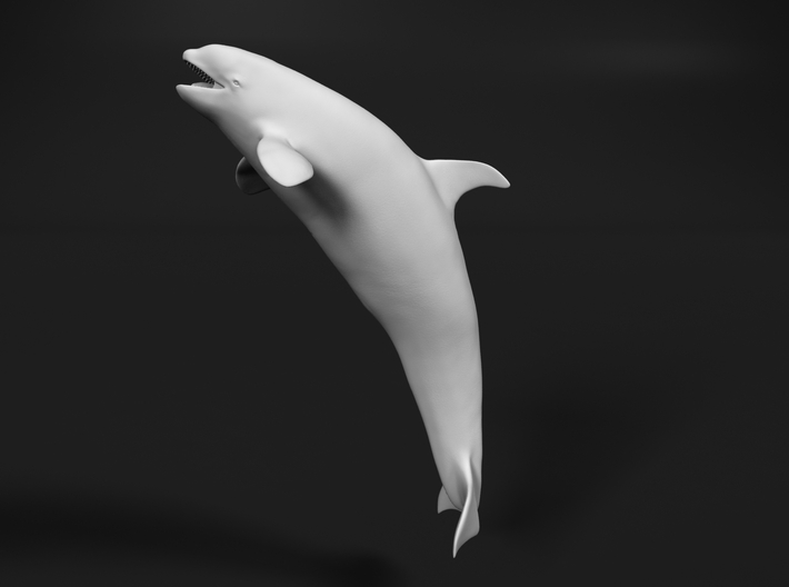 Killer Whale 1:160 Female with mouth open 1 3d printed 