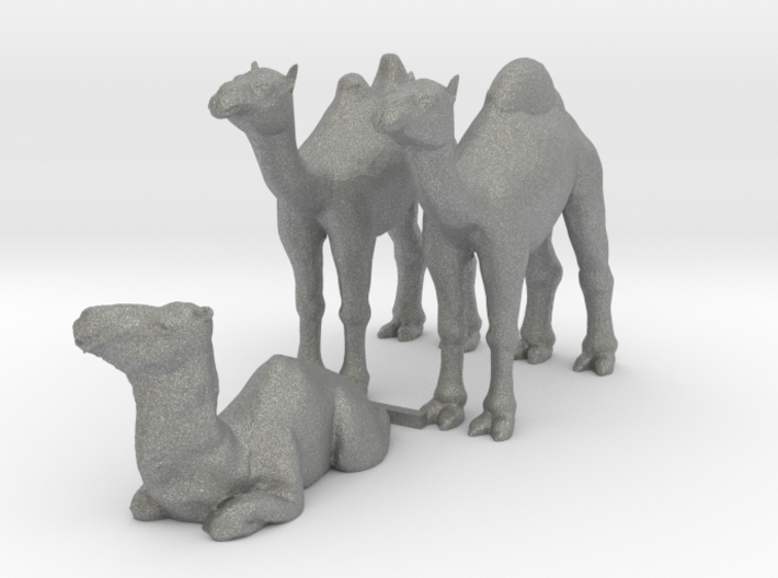 S Scale Camels 3d printed This is a render not a picture