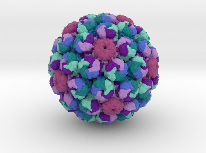 Merkel Cell Polyomavirus 3d printed