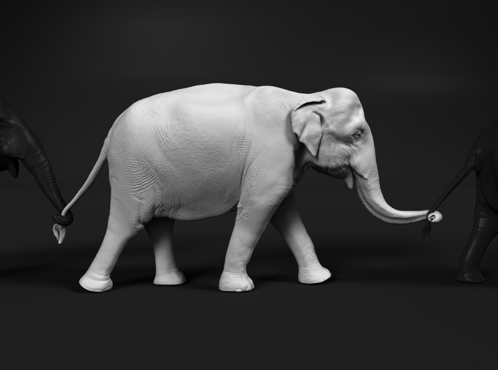 Indian Elephant 1:16 Female walking in a line 3 3d printed 