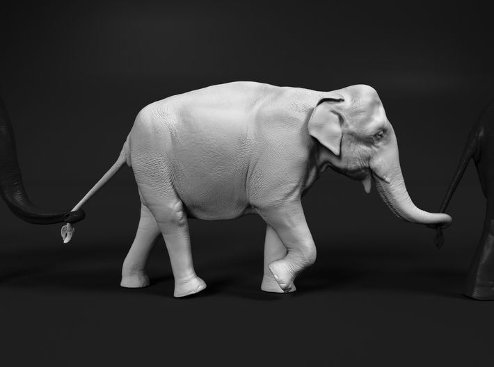 Indian Elephant 1:9 Female walking in a line 2 3d printed 