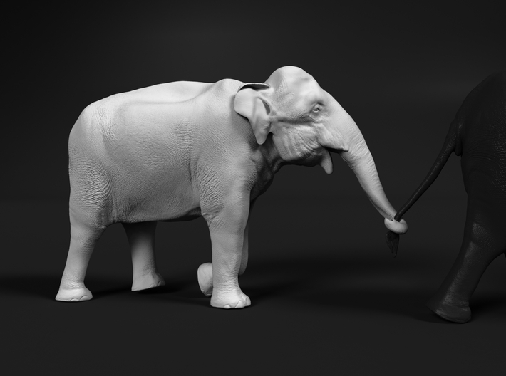 Indian Elephant 1:12 Female walking in a line 4 3d printed 