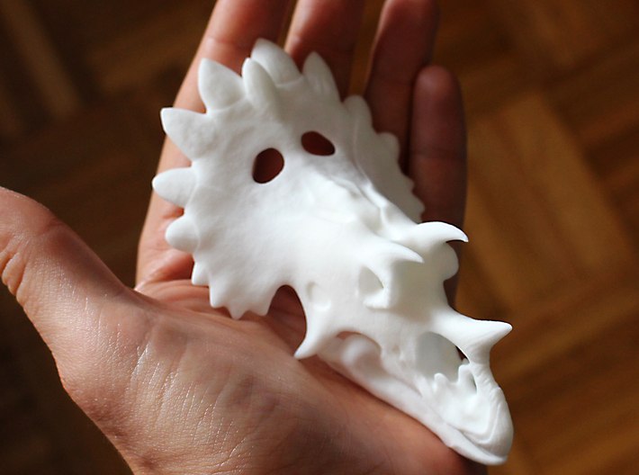 Regaliceratops Skull 3d printed 