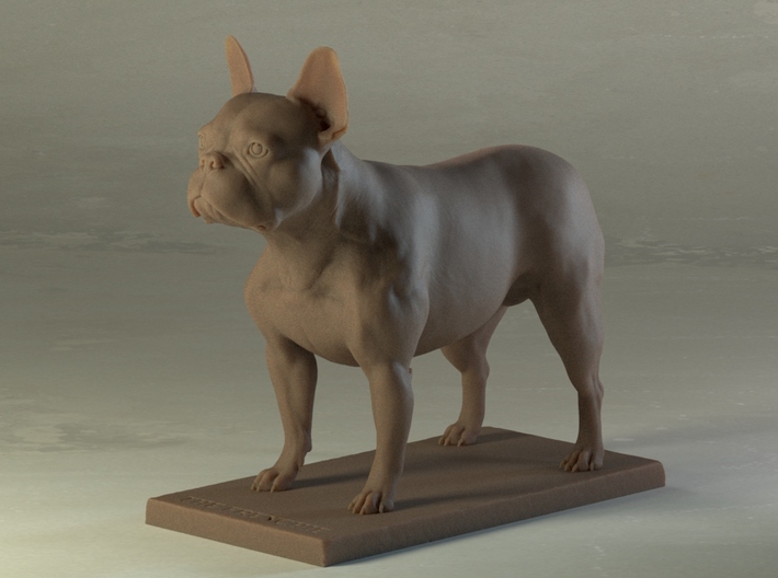 The Frenchie in Standard Pose 3d printed 