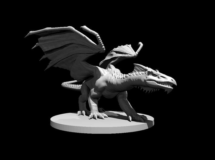 Young White Dragon 3d printed