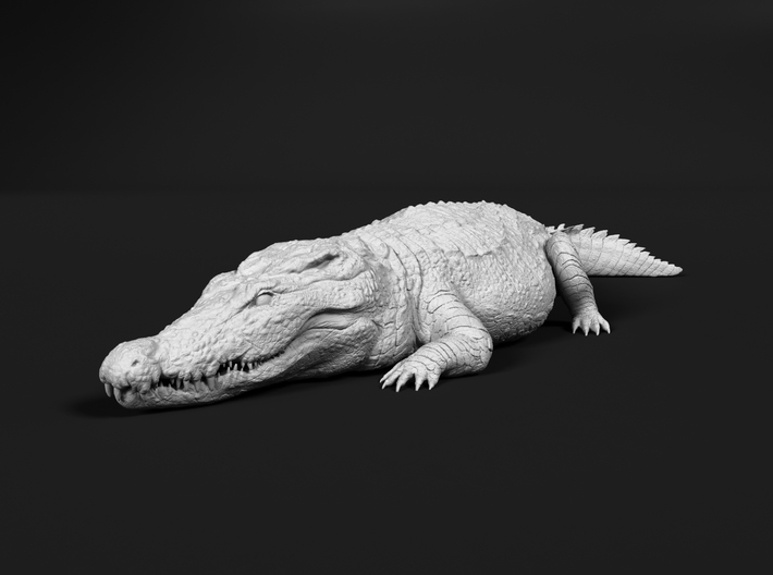Nile Crocodile 1:6 Sunbathing 3d printed 