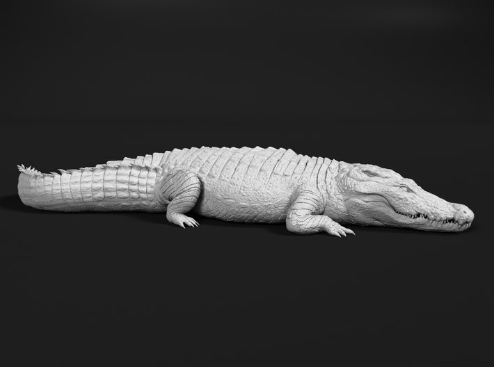 Nile Crocodile 1:20 Sunbathing 3d printed