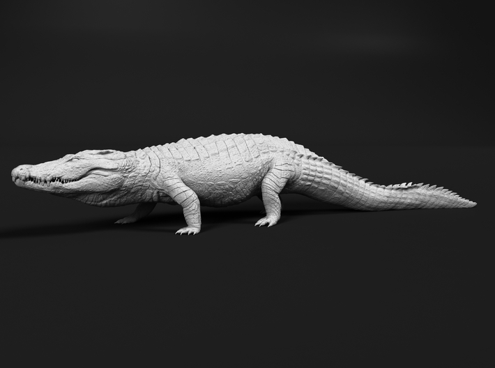 Nile Crocodile 1:6 High Walk 3d printed 