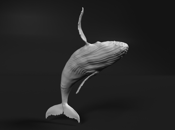 Humpback Whale 1:160 Breaching Male 3d printed 