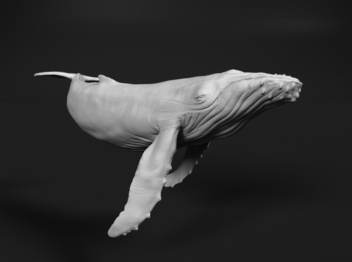 Humpback Whale 1:87 Swimming Calf 3d printed