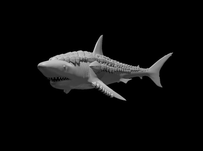 Shell Shark 3d printed