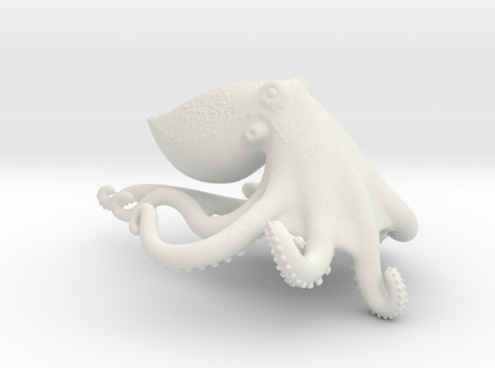 Blue Ringed Octopus 3d printed