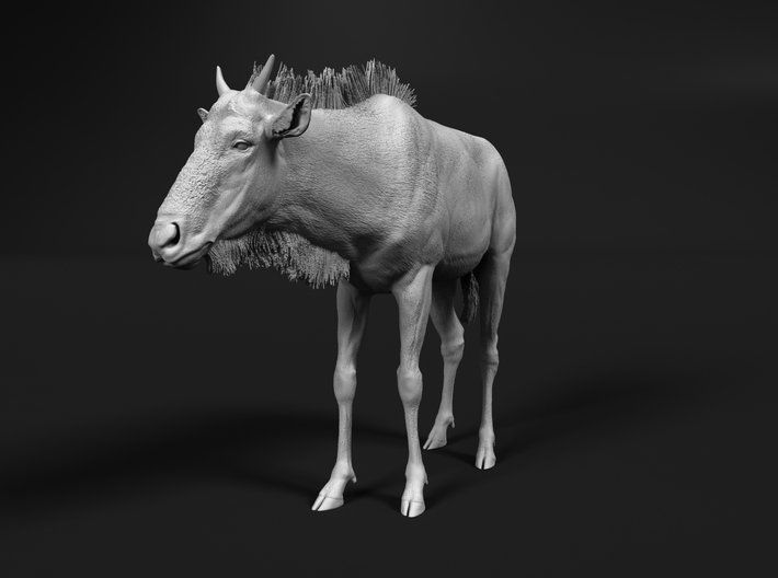 Blue Wildebeest 1:6 Standing Juvenile 3d printed 