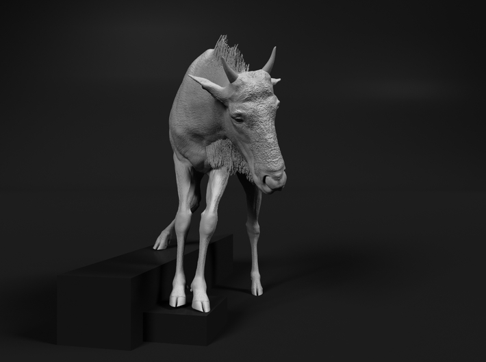 Blue Wildebeest 1:64 Juvenile descends from slope 3d printed