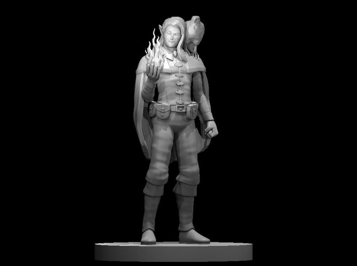 Elven Male Sorcerer with Hawk 3d printed