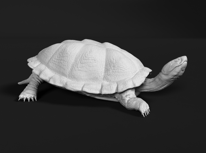 Serrated Hinged Terrapin 1:87 Sunbathing 2 3d printed