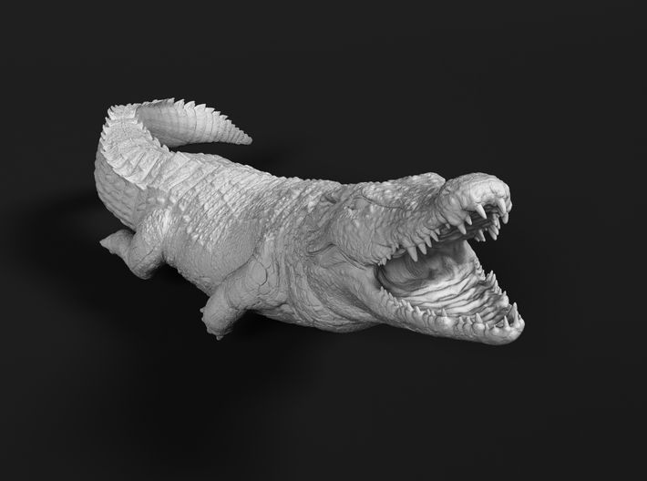 Nile Crocodile 1:25 Smaller one attacks in water 3d printed 