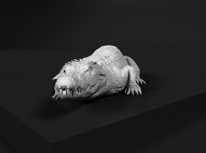 Nile Crocodile 1:12 Smaller one on river bank 3d printed