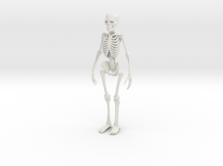 Free Standing Skeleton Figure 3d printed 